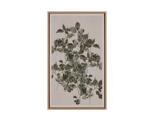 Botanical Study I - perfect for living rooms, bedrooms, and offices | Image 3 | InSTYLE Home & Rugs