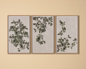Botanical Study I - add personality and flair to your walls with stunning art | Image 5 | InSTYLE Home & Rugs