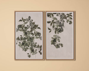 Botanical Study II - add personality and flair to your walls with stunning art | Image 3 | InSTYLE Home & Rugs