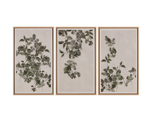 Botanical Study II - add personality and flair to your walls with stunning art | Image 10 | InSTYLE Home & Rugs