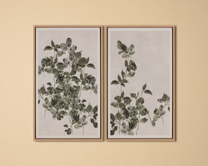 Botanical Study III - choose from a variety of prints, paintings, and photography | Image 3 | InSTYLE Home & Rugs