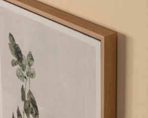 Botanical Study III - perfect for living rooms, bedrooms, and offices | Image 6 | InSTYLE Home & Rugs