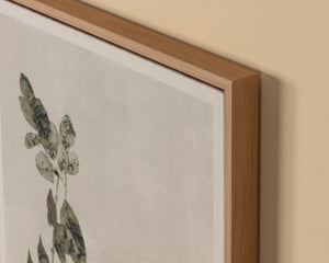 Botanical Study III - choose from a variety of prints, paintings, and photography | Image 6 | InSTYLE Home & Rugs