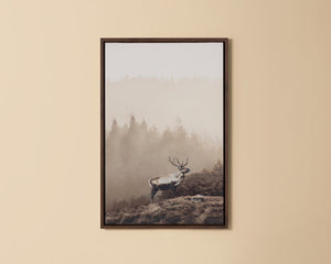 Into The Wild II - choose from a variety of prints, paintings, and photography | Image 1 | InSTYLE Home & Rugs