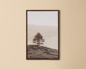 Together Alone II - perfect for living rooms, bedrooms, and offices | Image 1 | InSTYLE Home & Rugs