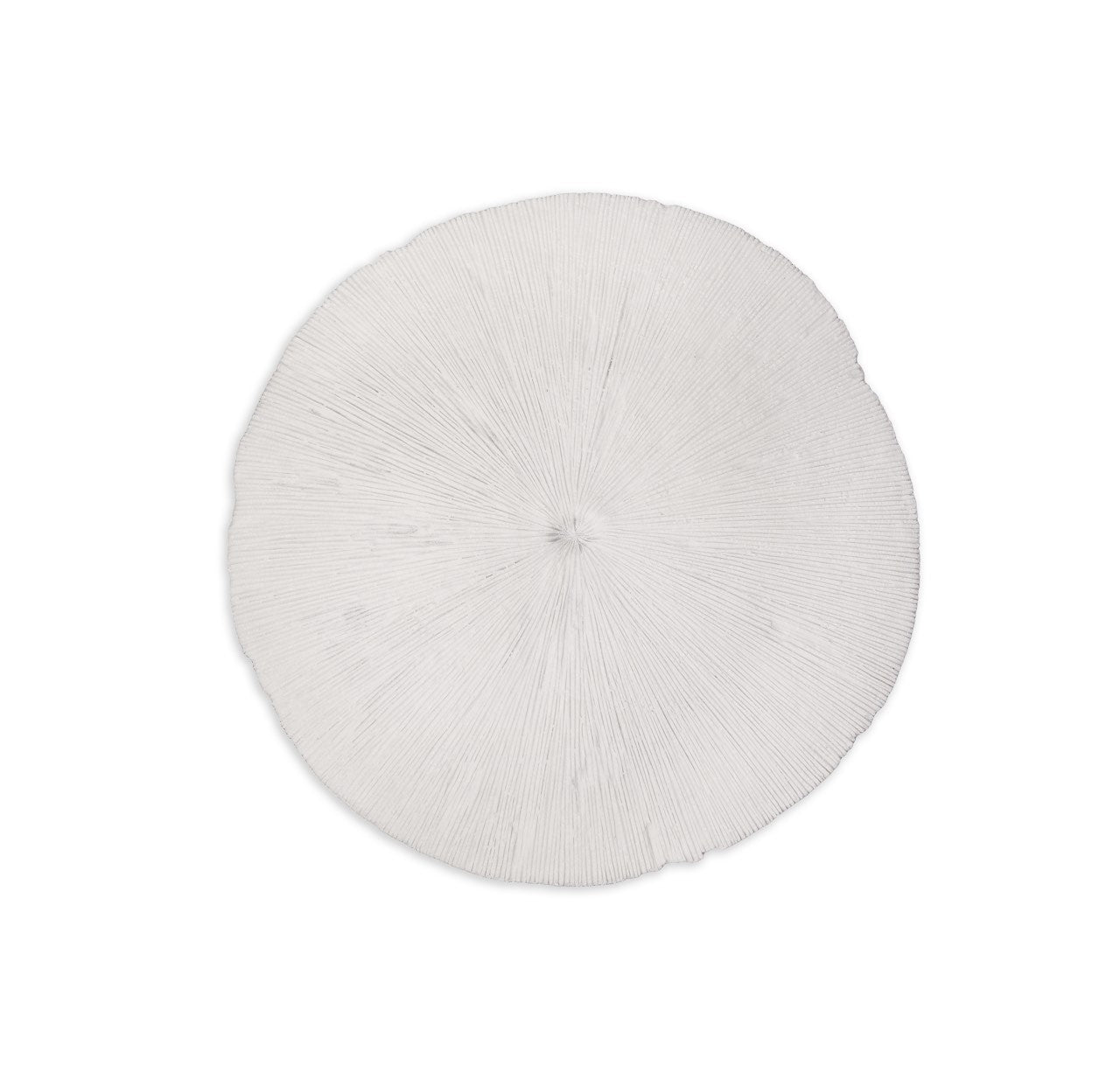 Sand Dollar wall décor in durable resin | InSTYLE Home & Rugs