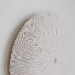 Sand Dollar Wall Décor — Indoor/Outdoor Resin Accent - coastal sand dollar wall décor in durable resin | Image 8 | InSTYLE Home & Rugs