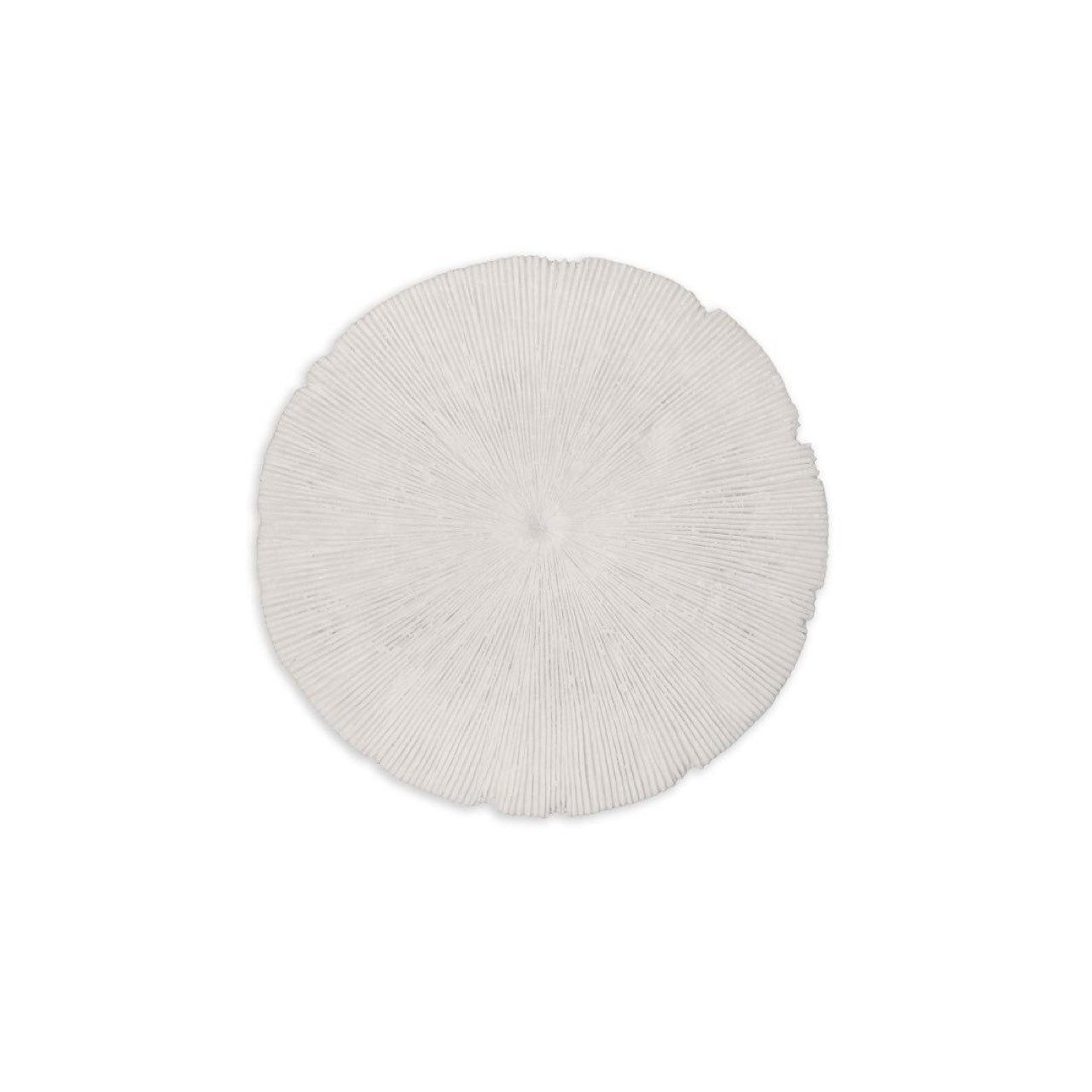 Sand Dollar wall décor in durable resin | InSTYLE Home & Rugs