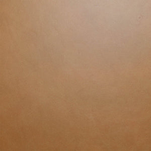 Dakota Dining Chair - stylish chairs for any table | Image 11 | InSTYLE Home & Rugs