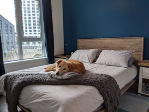 Gia King Bed - comfortable bed for restful sleep | Image 18 | InSTYLE Home & Rugs
