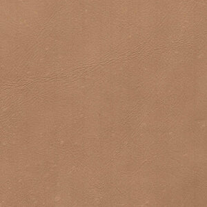 Milo Dining Chair - stylish chairs for any table | Image 4 | InSTYLE Home & Rugs