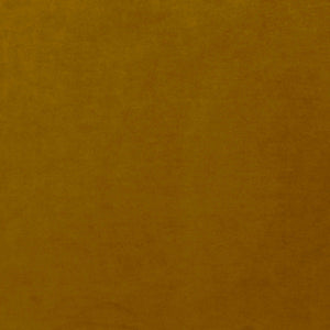 Missy Club Chair - variety of styles from classic to contemporary | Image 9 | InSTYLE Home & Rugs