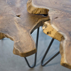 Natura Hairpin Nesting Table — Live-Edge Teak with Hairpin Legs - live-edge teak nesting tables with metal hairpin legs | Image 10 | InSTYLE Home & Rugs