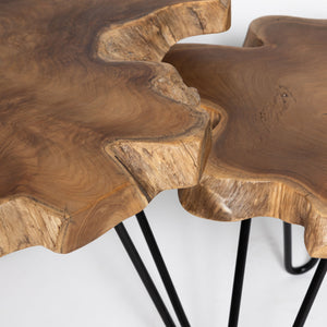 Natura Hairpin Nesting Table — Live-Edge Teak with Hairpin Legs - live-edge teak nesting tables with metal hairpin legs | Image 11 | InSTYLE Home & Rugs