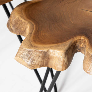 Natura Hairpin Nesting Table — Live-Edge Teak with Hairpin Legs - live-edge teak nesting tables with metal hairpin legs | Image 13 | InSTYLE Home & Rugs