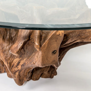 Natura Round Root Coffee Table — Teak Root with Glass Top - upcycled teak-root coffee table with a tempered glass top | Image 14 | InSTYLE Home & Rugs