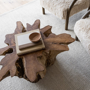 Natura Anise Coffee Table - modern design for any room | Image 7 | InSTYLE Home & Rugs