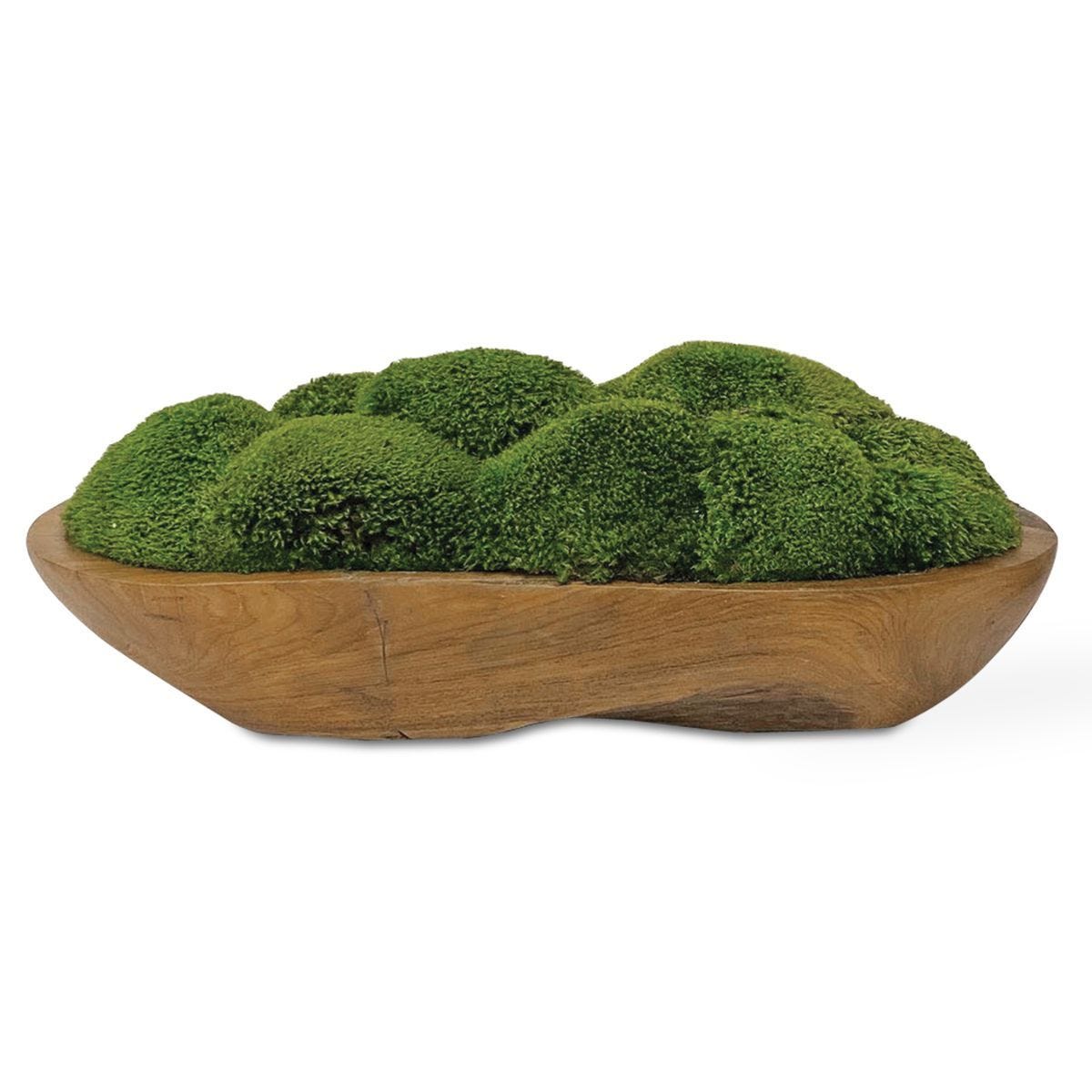 Kinsale Moss Centerpiece - decor accents and accessories for every room | Image 1 | InSTYLE Home & Rugs