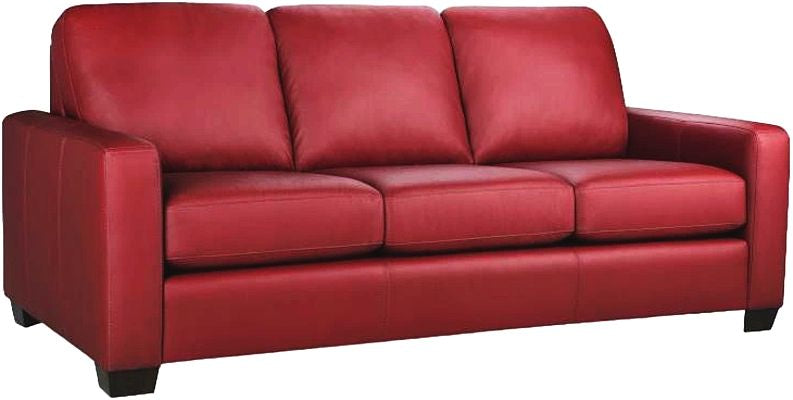 Superstyle Customizable L5002 Leather Queen Bed Sleeper Sofa