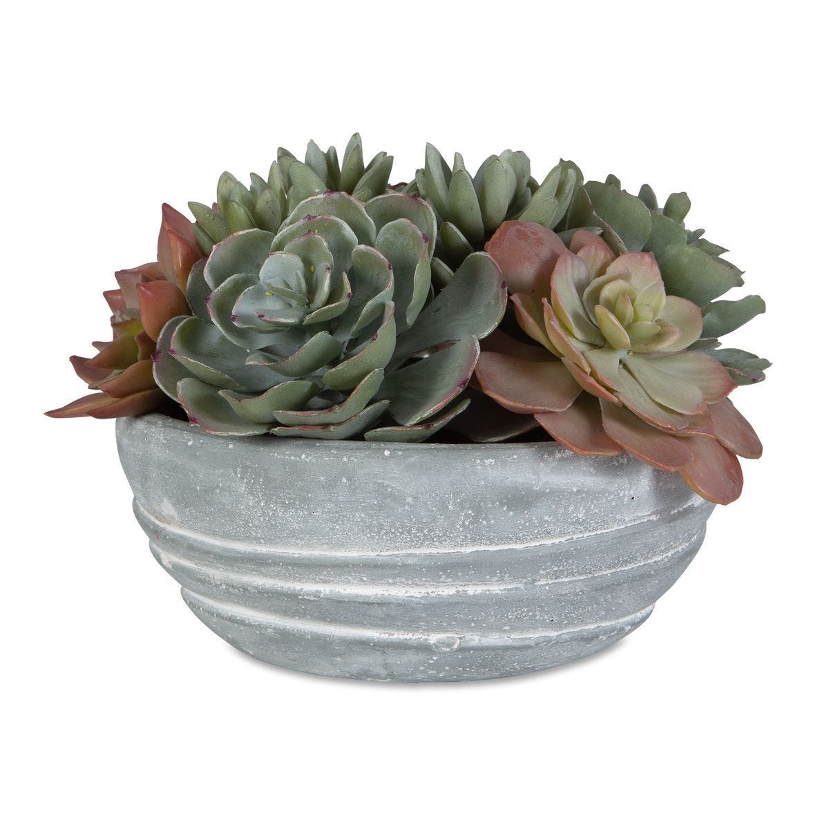 Peoria Succulent Accent - modern accessories for a personalized living space | Image 1 | InSTYLE Home & Rugs
