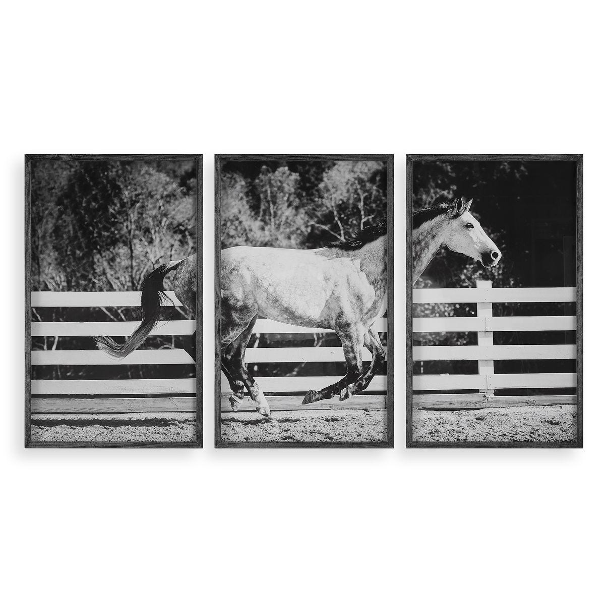 Galloping Forward Framed Prints, S/3 - timeless artwork that brings character to any space | Image 1 | InSTYLE Home & Rugs