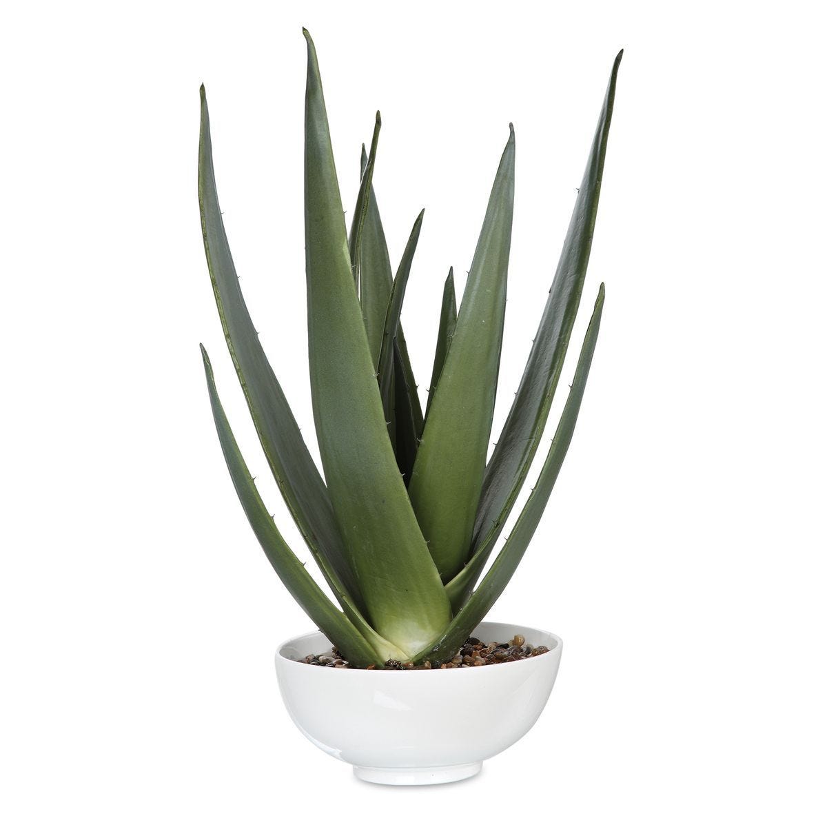 Evarado Aloe Planter - decor accents and accessories for every room | Image 1 | InSTYLE Home & Rugs