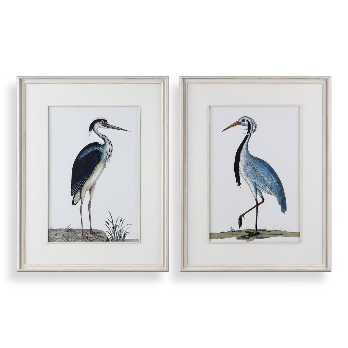 Shore Birds Framed Prints, S/2 - bold and creative art for unique interior décor | Image 1 | InSTYLE Home & Rugs