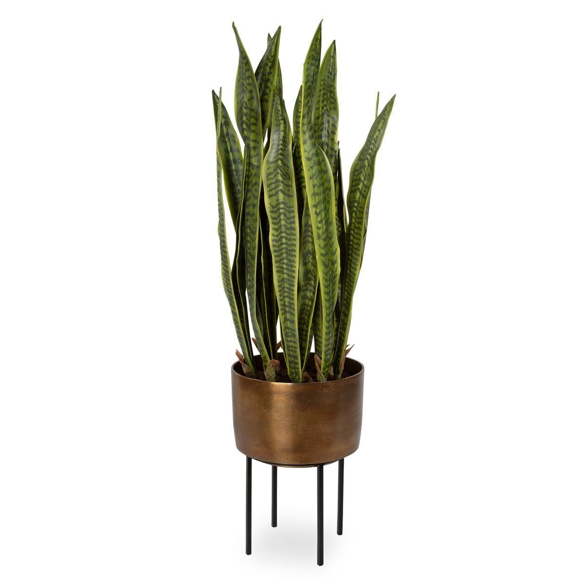 Fasita Planter, 2 cartons - modern accessories for a personalized living space | Image 1 | InSTYLE Home & Rugs
