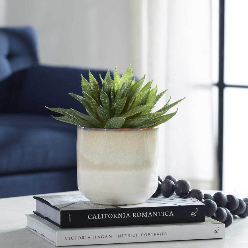 Doha Succulent Accent - modern accessories for a personalized living space | Image 1 | InSTYLE Home & Rugs