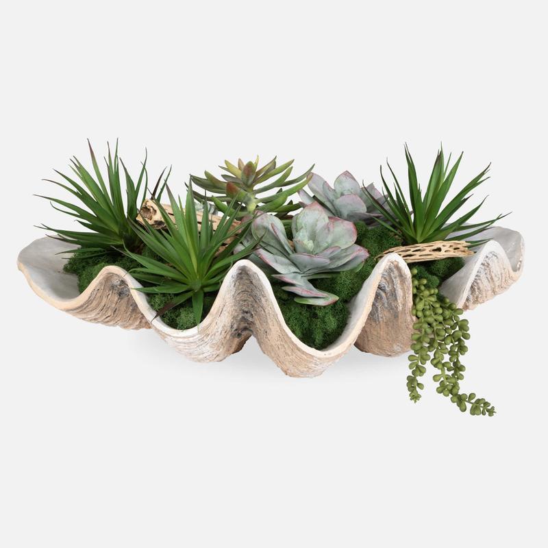 Seaside Breeze Succulents - decor accents and accessories for every room | Image 1 | InSTYLE Home & Rugs