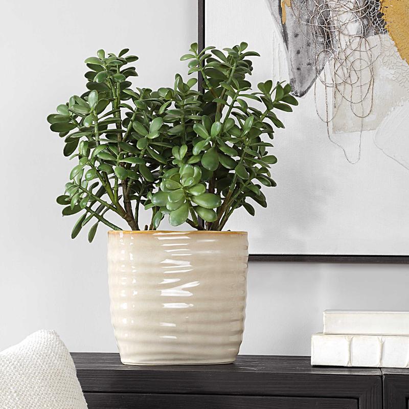 Crassula Jade Accent - modern accessories for a personalized living space | Image 1 | InSTYLE Home & Rugs