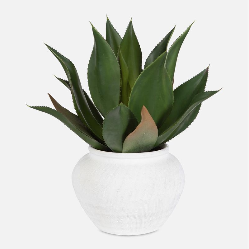 Tierra Agave Centerpiece - modern accessories for a personalized living space | Image 1 | InSTYLE Home & Rugs