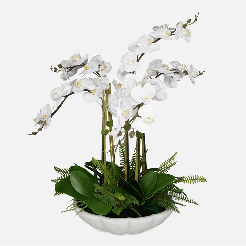 Flourish Orchid Centerpiece - decor accents and accessories for every room | Image 1 | InSTYLE Home & Rugs