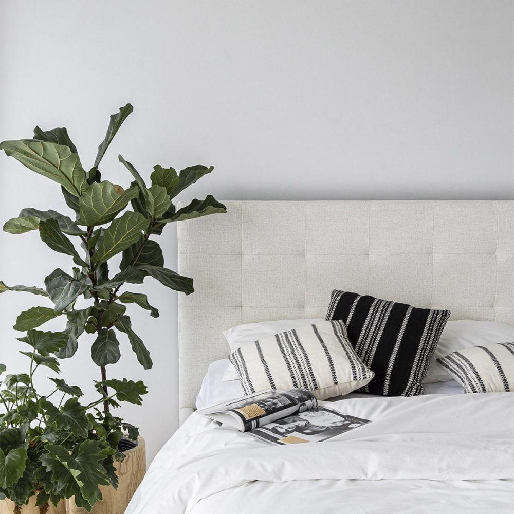 June Storage Bed - luxurious bed for modern homes | Image 1 | InSTYLE Home & Rugs