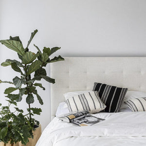 June Storage Bed - luxurious bed for modern homes | Image 1 | InSTYLE Home & Rugs