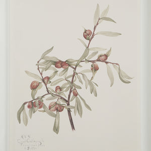 Crema - eye-catching art pieces to enhance your home design | Image 7 | InSTYLE Home & Rugs