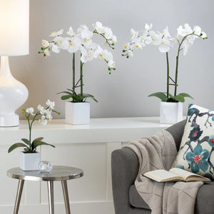 Orchid Potted Faux Single Stem 16" - functional pot for growing flowers, herbs, and plants | Image 3 | InSTYLE Home & Rugs