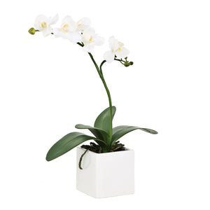 Orchid Potted Faux Single Stem 16" - functional pot for growing flowers, herbs, and plants | Image 1 | InSTYLE Home & Rugs