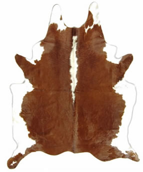 BRWHTR-342 - www.instylehome.ca