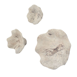 Teo Wood Wall Decor, Bleached S/3 - find the perfect pieces to complement your interior design | Image 3 | InSTYLE Home & Rugs