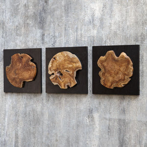 Kolini Wood Wall Decor, S/3 - transform your walls with stylish wall decor | Image 4 | InSTYLE Home & Rugs