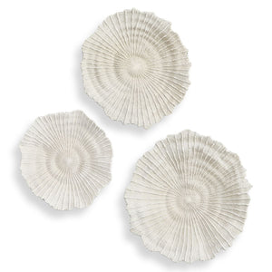 Ocean Gems Indoor-Outdoor Wall Decor, Natural, S/3 - from framed art to mirrors, create a focal point in any room | Image 2 | InSTYLE Home & Rugs