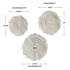Ocean Gems Indoor-Outdoor Wall Decor, Natural, S/3 - from framed art to mirrors, create a focal point in any room | Image 7 | InSTYLE Home & Rugs