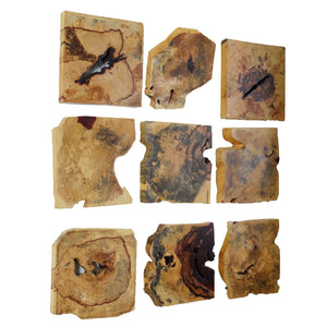 Bahati Wood Wall Decor, Natural, S/9 - transform your walls with stylish wall decor | Image 4 | InSTYLE Home & Rugs