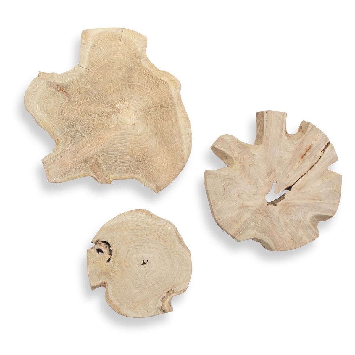 Kalani Indoor-Outdoor Wall Decor, Bleached, S/3 - transform your walls with stylish wall decor | Image 1 | InSTYLE Home & Rugs