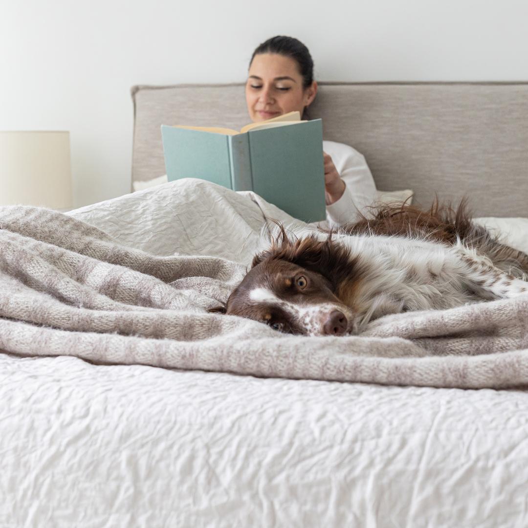 Julia Storage Bed Short - stylish bed for any bedroom | Image 6 | InSTYLE Home & Rugs