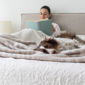 Julia Storage Bed Short - stylish bed for any bedroom | Image 6 | InSTYLE Home & Rugs