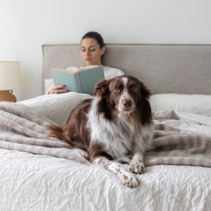 Julia Storage Bed Short - stylish bed for any bedroom | Image 19 | InSTYLE Home & Rugs