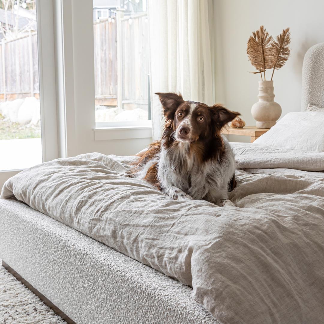 Faye Bed - stylish bed for any bedroom | Image 6 | InSTYLE Home & Rugs