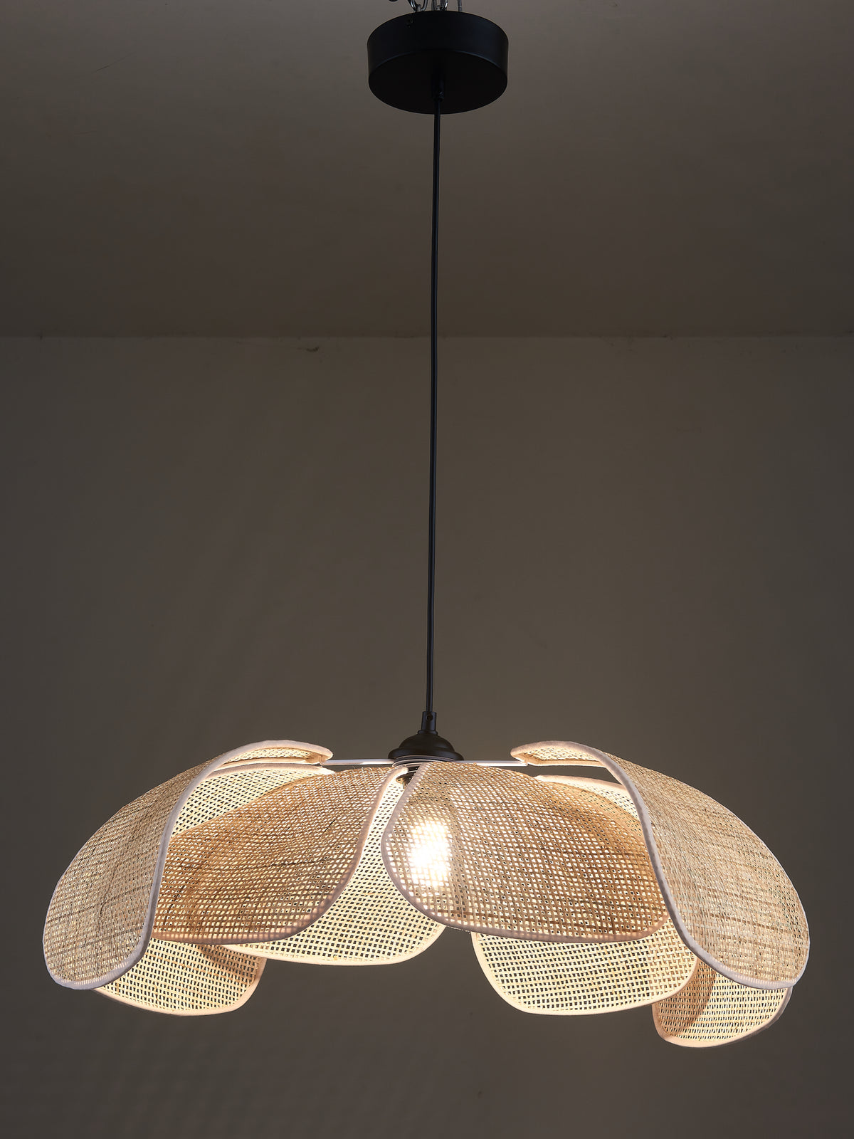Petal Pendant Light - elegant lighting for any room | Image 1 | InSTYLE Home & Rugs